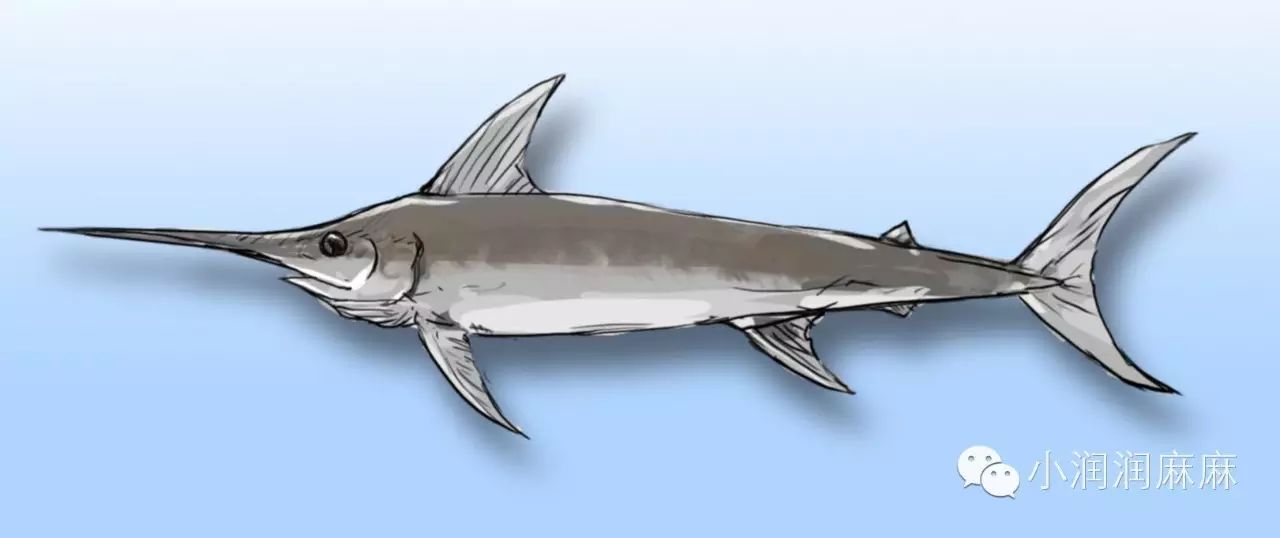 孕妇补铁吃什么牌子药(孕期吃补铁的药)-硒宝网