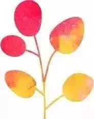 孕妇补铁吃什么牌子药(怀孕吃补铁的药)-硒宝网