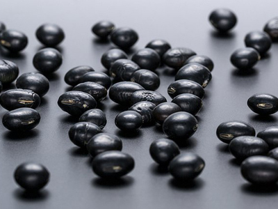 吃什么食物能补钙(食物补钙吃啥)-硒宝网