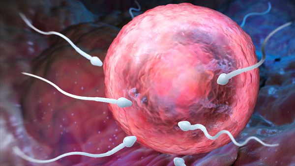 备孕什么比锌硒宝强(备孕锌硒宝吃多长时间)-硒宝网