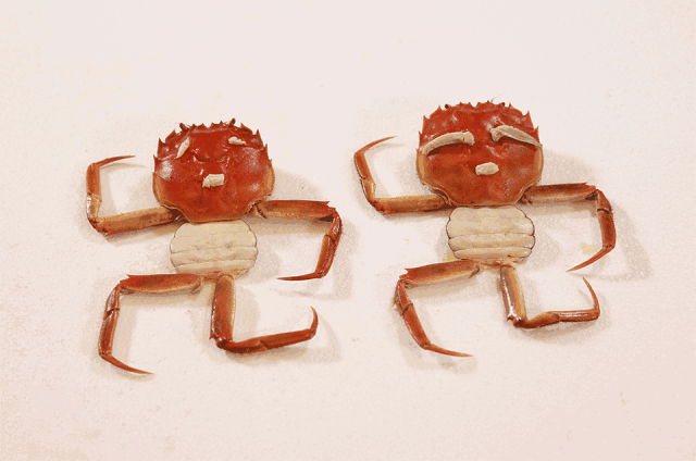 胆囊炎能吃锌硒宝吗(锌硒宝片宝宝可以吃吗)-硒宝网