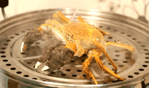 胆囊炎能吃锌硒宝吗(锌硒宝片宝宝可以吃吗)-硒宝网