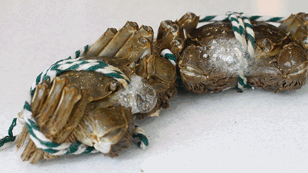 胆囊炎能吃锌硒宝吗(锌硒宝片宝宝可以吃吗)-硒宝网