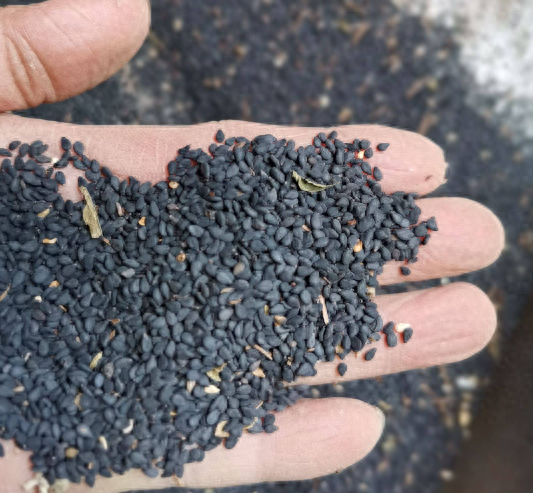 胆囊炎能吃锌硒宝吗（胆囊炎可以补锌吗）-硒宝网