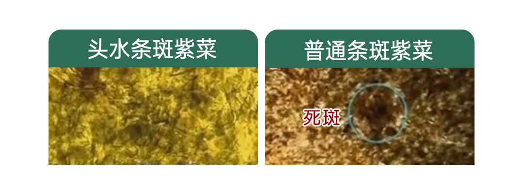 一岁半宝宝补钙吃什么牌子(宝宝吃的钙剂什么牌子)-硒宝网