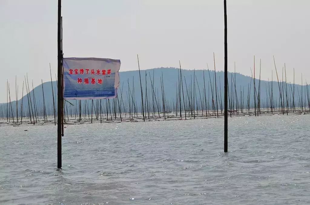 一岁半宝宝补钙吃什么牌子(宝宝吃的钙剂什么牌子)-硒宝网