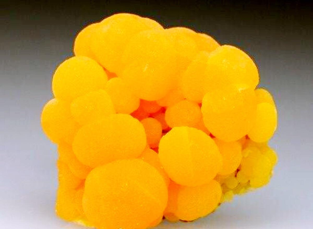 微量元素 铅(铅元素超标)-硒宝网