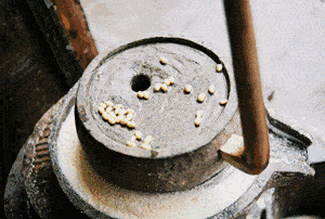 大豆补钙吗(大豆补钙)-硒宝网