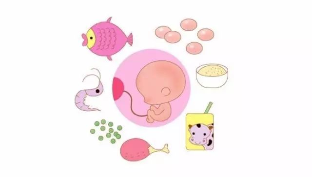 孕妇几个月补钙最合适(适合孕妇补钙的钙片)-硒宝网