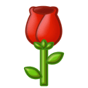 孕妇几个月补钙最合适(孕妇补钙月份)-硒宝网