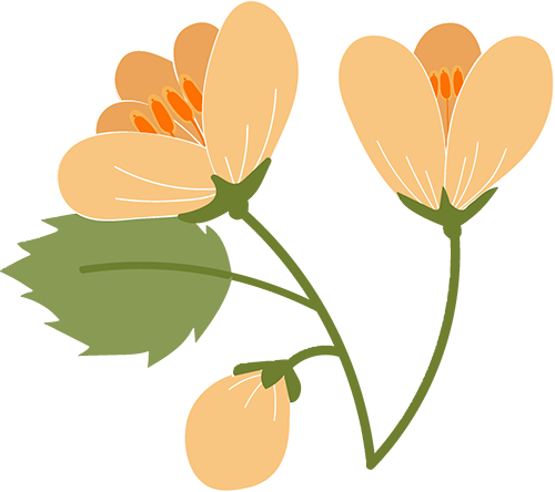 维生素d3可以补钙吗(维生素补钙可以晚上吃吗)-硒宝网