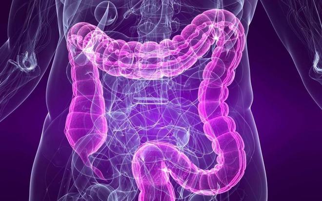 补铁维生素（吃什么维生素补铁）-硒宝网