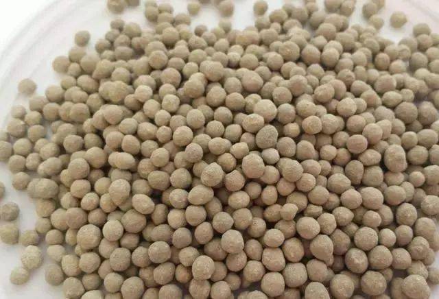 微量元素检测挂什么科（微量元素科室）-硒宝网