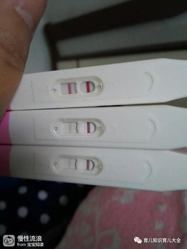 斯利安锌硒宝好不好（锌硒宝排名）-硒宝网