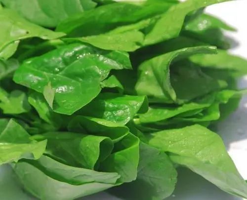 核桃奶补钙吗(核桃奶补钙怎么样)-硒宝网