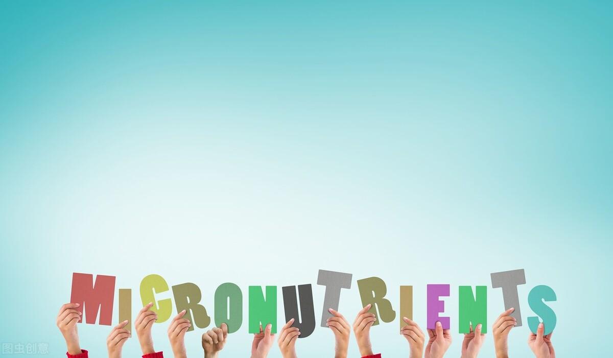 人体所需微量元素有哪些(人体微量元素需有哪些)-硒宝网