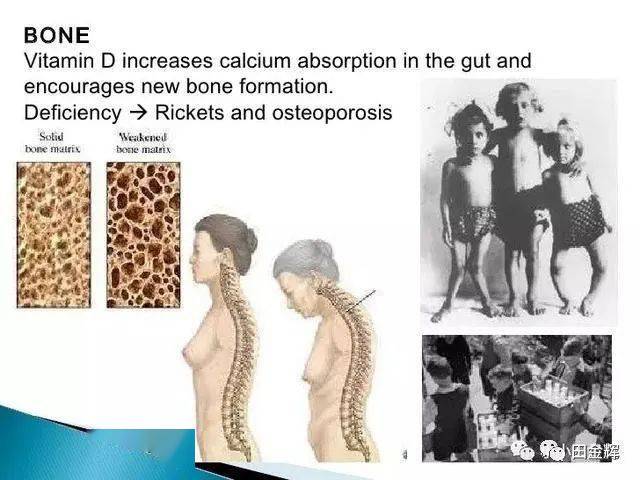 女人补钙的好处(好处补钙女人吃什么好)-硒宝网