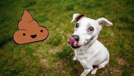 锌硒宝和钙片一起吃（锌硒宝补钙吗）-硒宝网