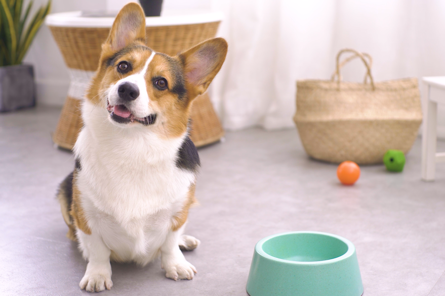 锌硒宝和钙片一起吃（锌硒宝补钙吗）-硒宝网