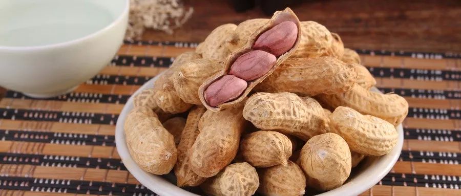 锌元素食物(锌元素食物)-硒宝网