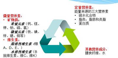 锌硒宝片和维生素e(锌硒维生素的功能)-硒宝网