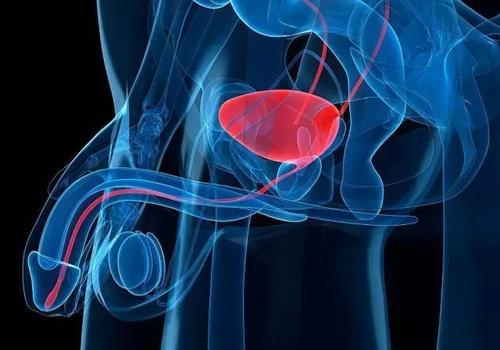 前列腺炎能吃锌硒宝（前列腺炎吃锌硒宝能治好吗）-硒宝网