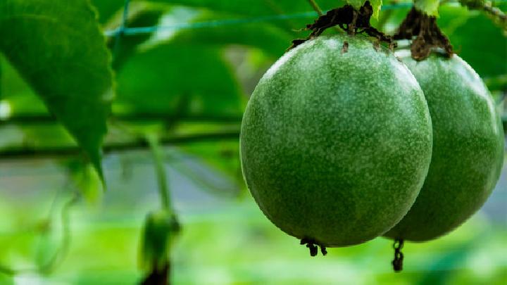 补铁要吃什么（吃补铁要吃多久）-硒宝网