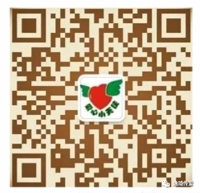 孕妇补铁的药什么时候吃最好(孕妇药吃时候好补铁吗)-硒宝网