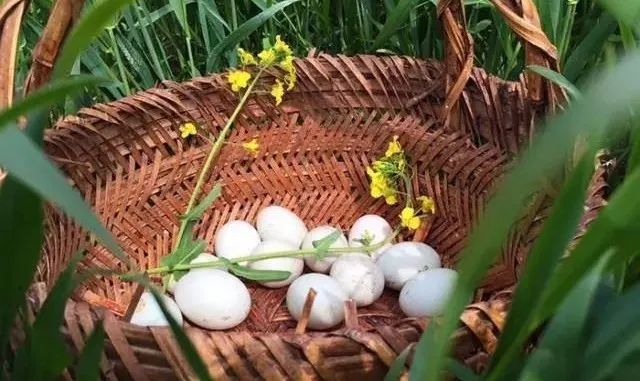 孕妇补铁的药什么时候吃最好(孕妇药吃时候好补铁吗)-硒宝网