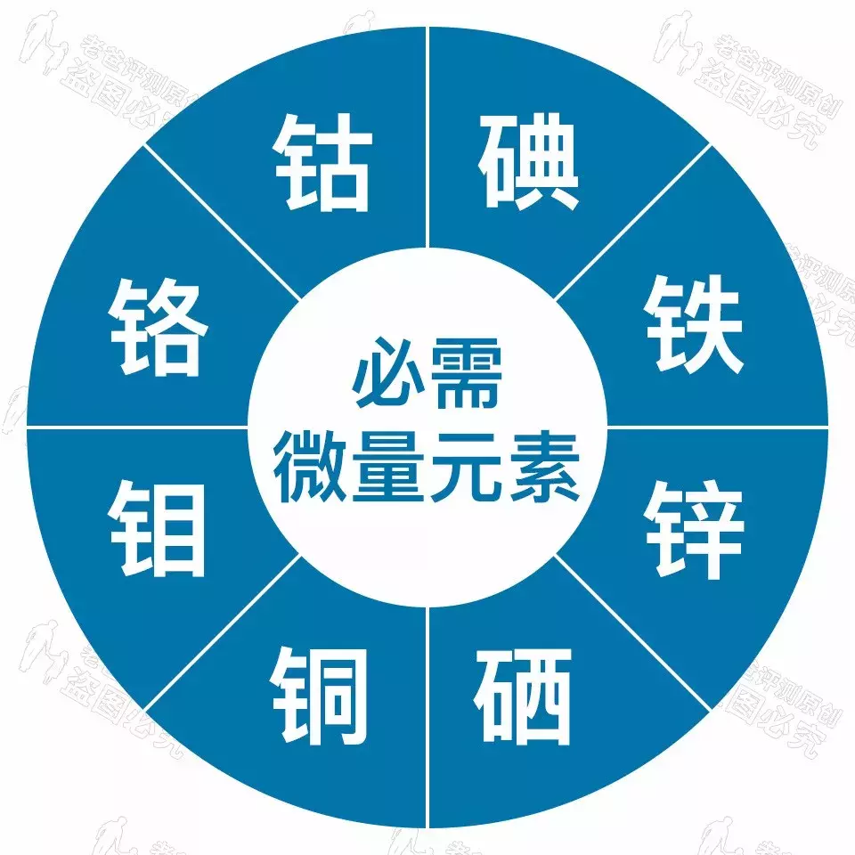 化验微量元素多久出结果(化验微量元素结果出错怎么办)-硒宝网