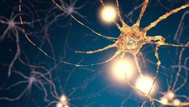 吃什么食物补钙效果最好(食物补钙好还是钙片补钙好)-硒宝网