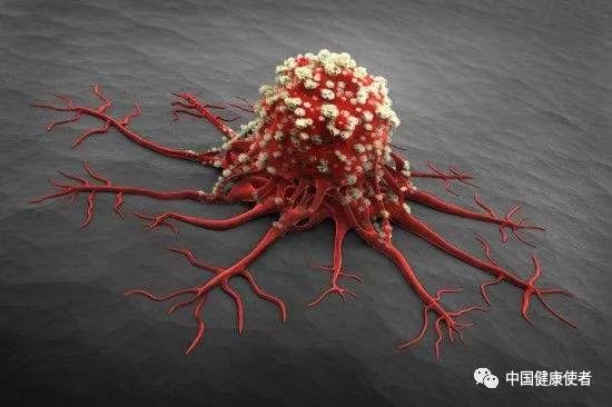 常用的补硒添加剂包括(补硒剂是什么)-硒宝网