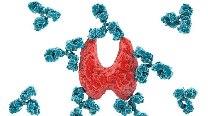 补硒与桥本氏甲状腺炎(桥本甲状腺炎吃硒的作用)-硒宝网