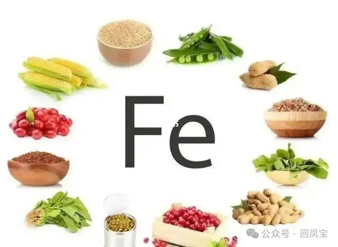 补铁原则和注意事项(拔火罐过程中应该注意哪些事项)-硒宝网