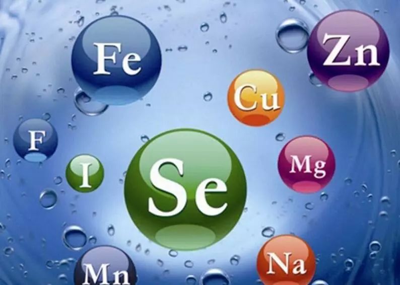 常用的补硒添加剂包括（补充硒的药物有哪些）-硒宝网