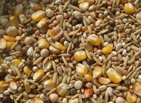 常用的补硒添加剂包括（补充硒的药物有哪些）-硒宝网