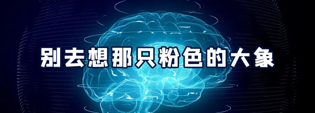 鱼补铁吗(鱼补铁补血吗)-硒宝网