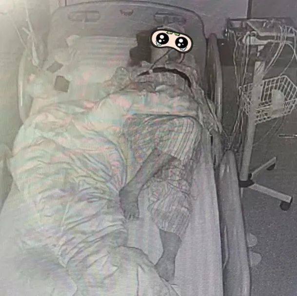 鱼补铁吗(鱼补铁补血吗)-硒宝网