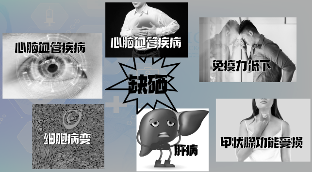 补硒的药推荐哪种药好（补硒最好的中药）-硒宝网