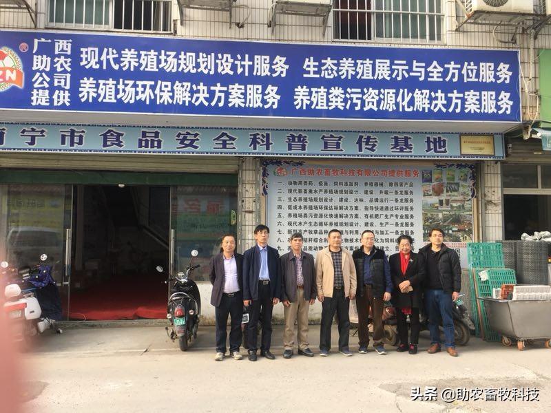 刚出生的仔猪如何补硒(初生仔猪缺硒的症状)-硒宝网