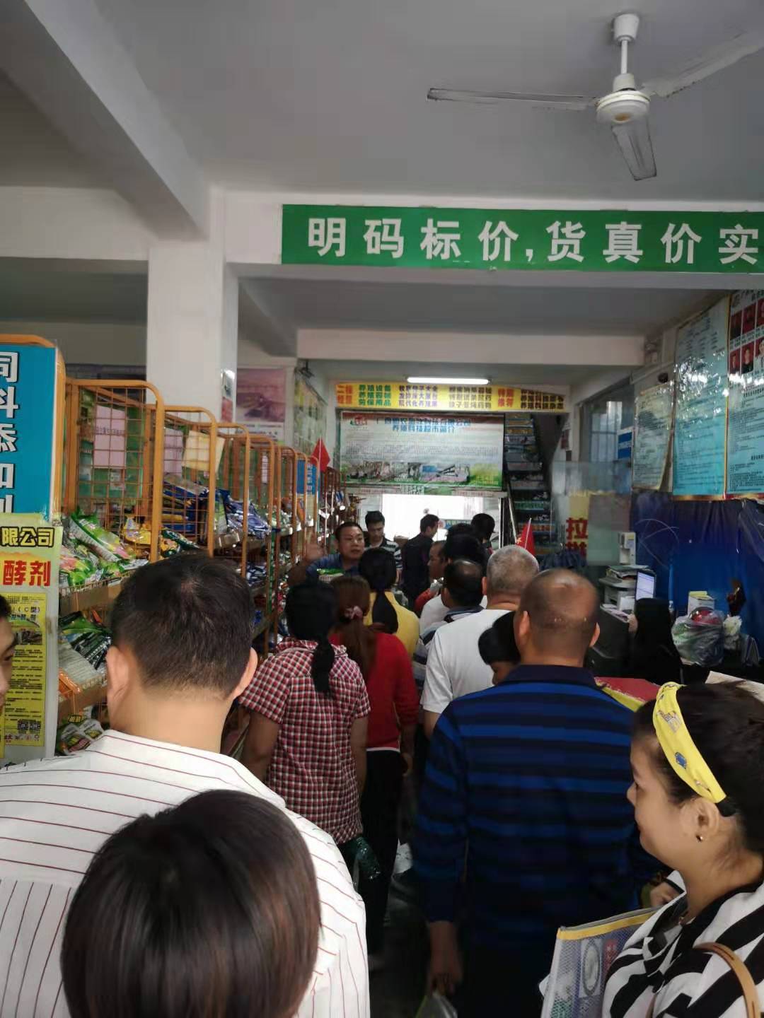 刚出生的仔猪如何补硒(初生仔猪缺硒的症状)-硒宝网