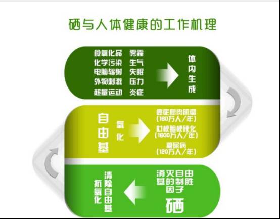 怎么能快速补硒的方法(能补快速方法硒元素吗)-硒宝网