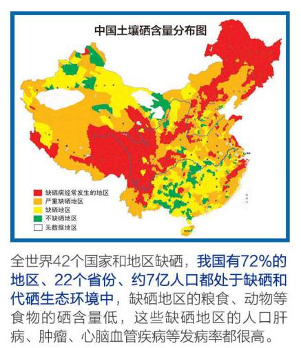 怎么能快速补硒的方法(能补快速方法硒元素吗)-硒宝网