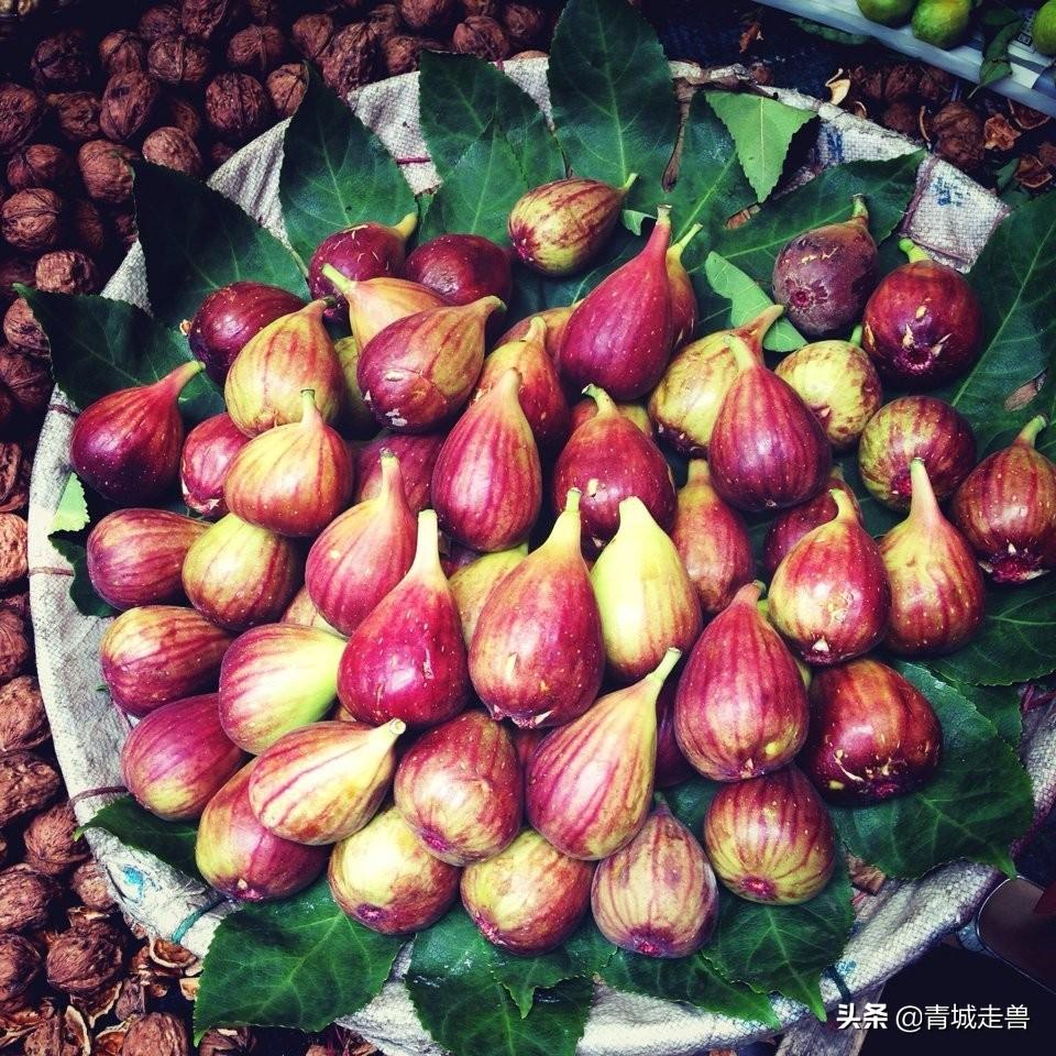 黑桑葚干泡水喝补硒吗（桑葚干补黑色素吗）-硒宝网