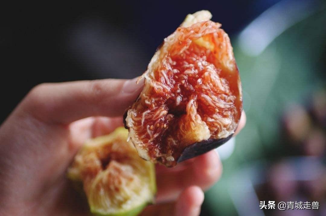 黑桑葚干泡水喝补硒吗（桑葚干补黑色素吗）-硒宝网