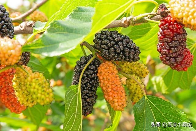 黑桑葚干泡水喝补硒吗(桑葚干泡水喝可以黑发吗)-硒宝网