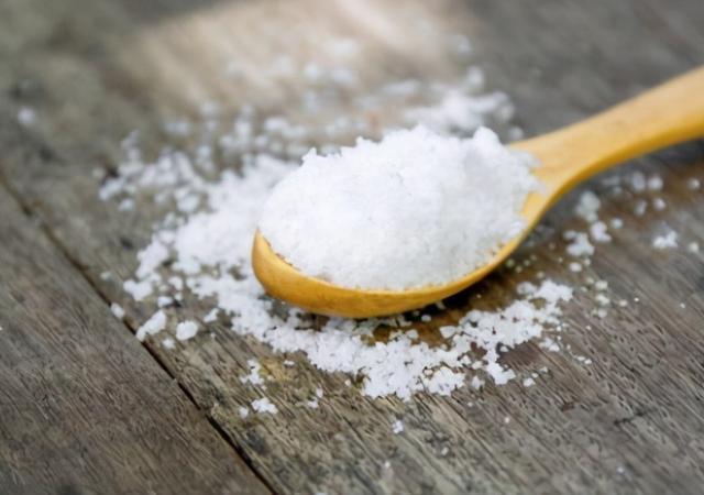 人吃的硒能给狗狗补吗（狗可以吃少量的人用维生素吗）-硒宝网