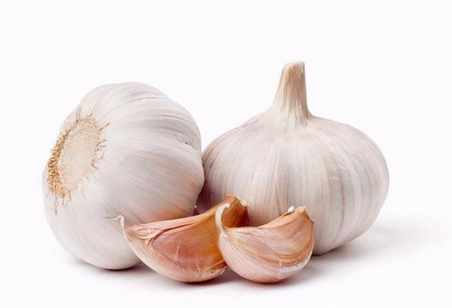 人吃的硒能给狗狗补吗（狗可以吃少量的人用维生素吗）-硒宝网