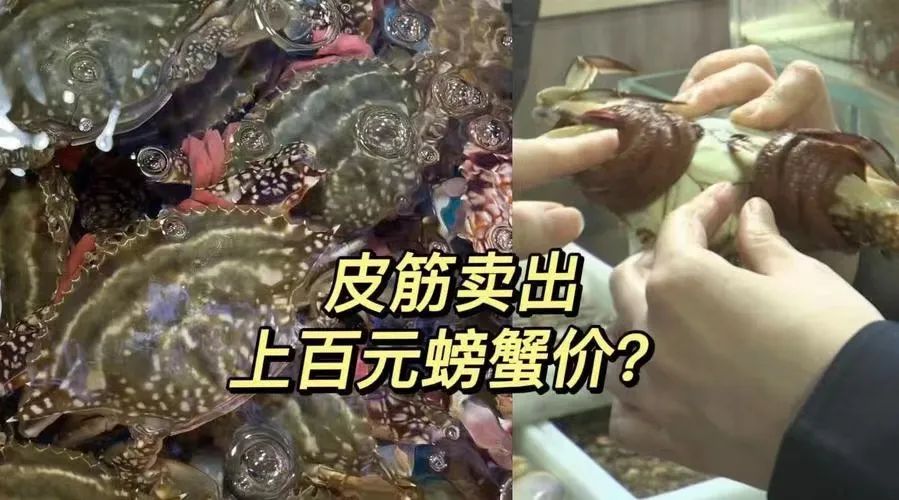 科学补硒20分钟左右（科学补硒的作用）-硒宝网