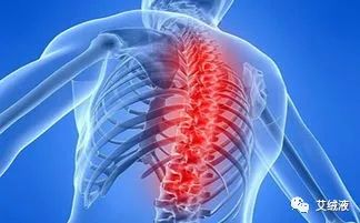 补硒能预防骨质增生吗(预防骨质增生吃什么)-硒宝网